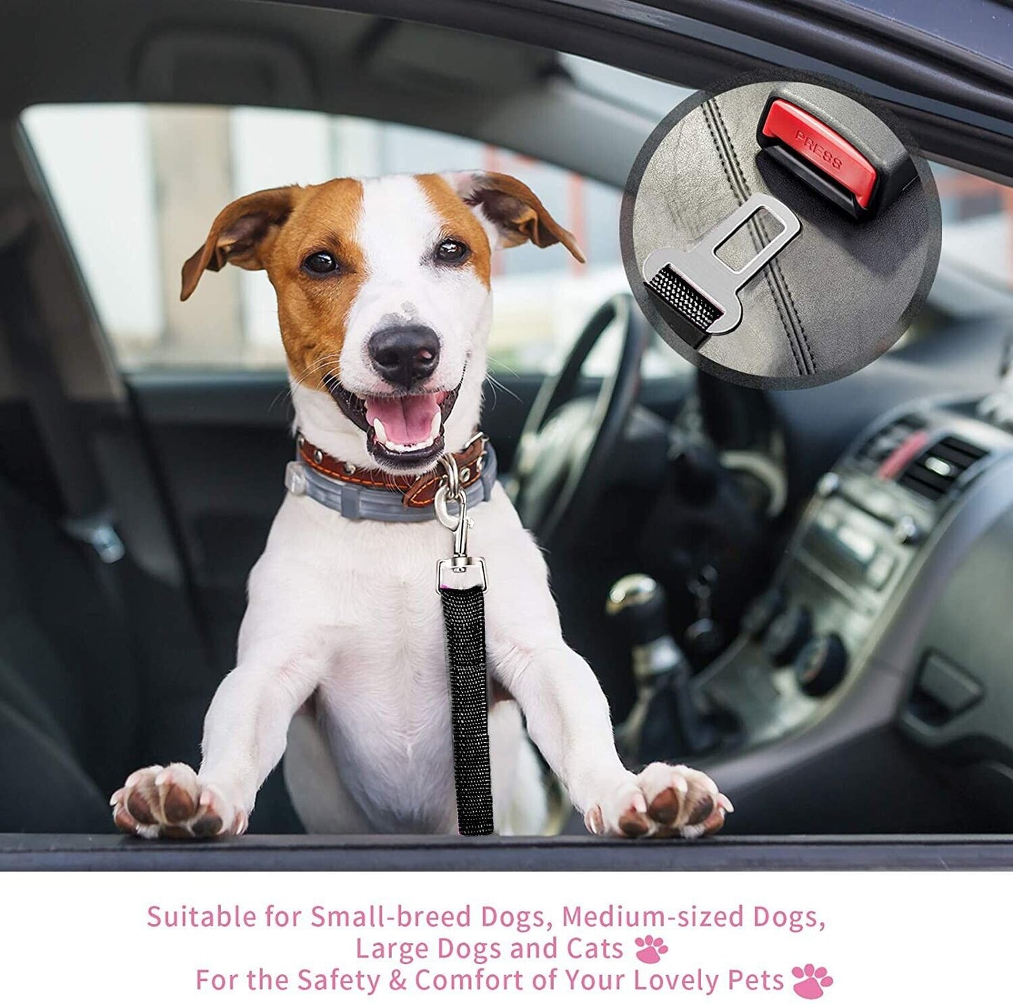 Adjustable Pet Car Seatbelt Safety Harness - 2 Pack